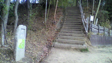 y[W擪
