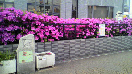 ページ先頭へ