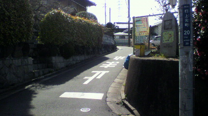 y[W̐擪